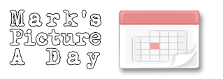 365-Banner1.png